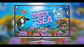 Phipps Summer Flower Show: Under the Sea Virtual Video Tour