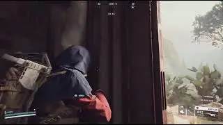 Wasp Hunting