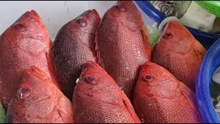 大里阿翔海鮮叫賣 台中市東區大振街30-1號