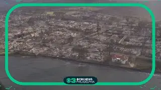 Maui fires likely largest natural disaster in Hawaii's history: governor