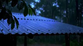 Get Your Best Night's Sleep Ever With Soothing ASMR Rain Sounds