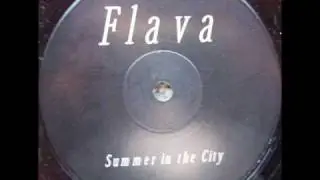 Flava - Summer In The City