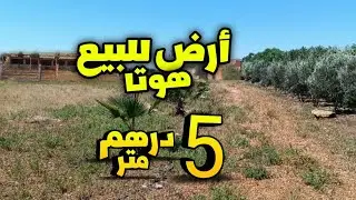 أرض للبيع هوتا 5 درهم متر فرصة و مناسبة