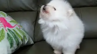 음망망망