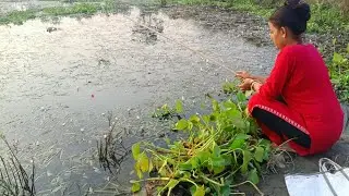 Village Girl&rsquo;s Epic Fishing Skill 😯/ Deshi koi  Fish Catchin/ Mind-Blowing Village Style🎣 #fishvideo