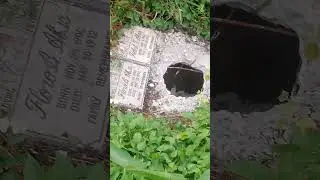 CEMETERY ILILIPAT ANG MGA BANGKAY SA IBANG LIBINGAN#LIBINGAN#KABAONG##SHORTVIDEO