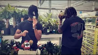 Tockyy & LeBerry - Mango (Official Music Video) [prod. kraxyy]