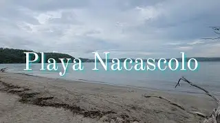 Playa Nacascolo 🌴🌊 Observamos 🦌🦡