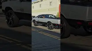 Gbody El camino SS