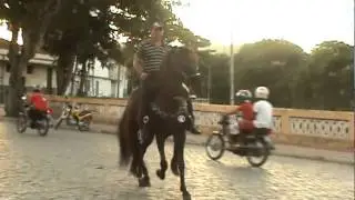Cavalo de Marcos Sebasti&atilde;o - Itaju&iacute;pe - Bahia