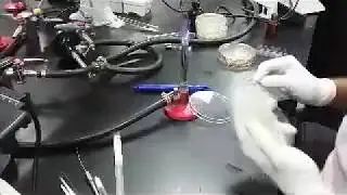 Pharmaceutical Micro Practical Tricks