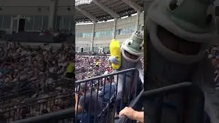 Mascot was delivering popcorn and this happened