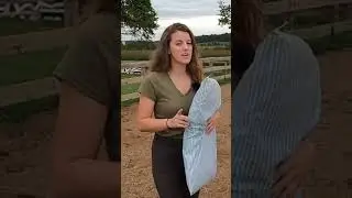Preparing Your Horse for Zombies