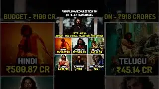 Animal Collection To Different Languages ll #animal #ranbirkapoor #animalmovie #actor #film #movie