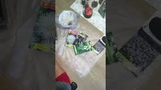 #обзор покупка семян,посадка горького перца