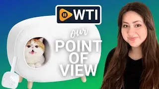 MS Cat Litter Box | Our Point Of View