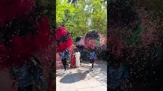 Wedding day grand entry❤️ #festival #dancecraze #haldi #dance #dancemoves #trending #dj #trending