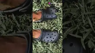 These Crocs are a MUST-HAVE! Stylish, comfy, and on sale now with 20% off. [Link in Bio]