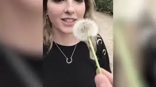 Bad day Funny Falls 2021 Compilation   Trampoline Fails Compilation Funny Vines