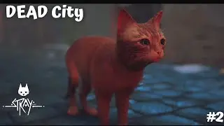 STRAY PC Walkthrough Gameplay Part 2 - Dead City