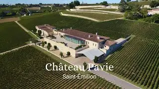 Chateau Pavie, Saint-Emilion: Full interview with Olivier Gailly