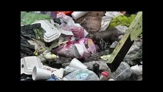 DENR blames irresponsible waste disposal for leptospirosis outbreak