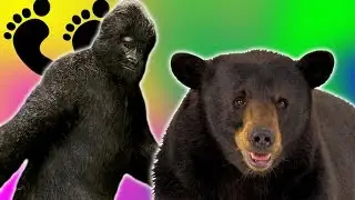 BIGFOOT CHALLENGES US! | Bear Simulator #9