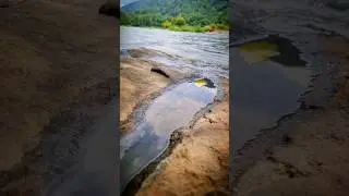 Chalakudy river💦🩵 #athirappillywaterfalls #shorts
