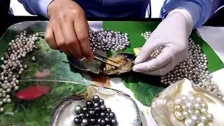 Pearl Farm in Halong Bay