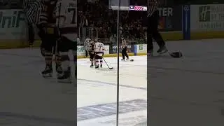glass shatters fight breaks out causes a delay of game #fy #lovehockey #fypシ #hockey #mainemariners