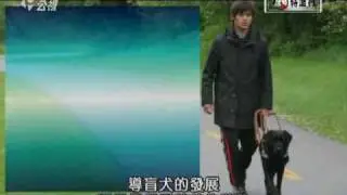 獨立特派員133集【有牠的旅程】