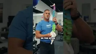 Do this to fix your standing lower back pain ‼️