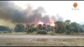Arrasador: un rayo provocó un incendio forestal en el norte cordobés al caer sobre una palmera