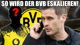 Diese 3 Transfers lassen den BVB 2026 ESKALIEREN!