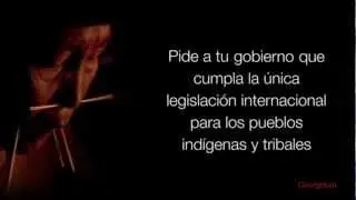 CONVENIO 169 OIT, CONTRA LA EXPROPIACI&Oacute;N DE TIERRAS IND&Iacute;GENAS