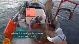 Chili - P&ecirc;cheurs autour du monde