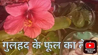 Deepti Khanna ke sath sikhe ye remidi gulhad ke fhul se