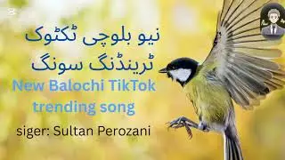 Marz mohbat dukhya wa,OST Sultan Bugti| رب دا   عالم ڈکیا وی| New Balochi TikTok trending song 