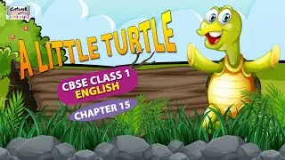 A Little Turtle - CBSE Class 1 | English - Chapter 15 |#catrackktv