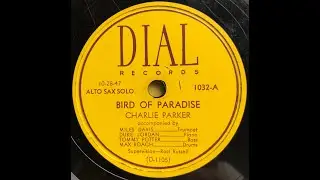 Bird Of Paradise / dial 1032A