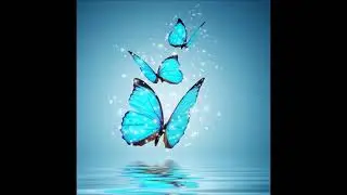 Crocoloko - The Voice Of Butterfly