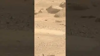 Mars Curiosity Rover #marsexploration #perseverance #marsdiscovery #marsrover #marscuriosity