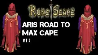 Aris - Road To Max Cape #11: ReIntroduction