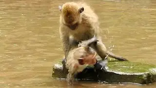 Poor orphan baby Dustin super angry Duke hit hurt to him,Dustin slap to Duke for warn stop play hurt