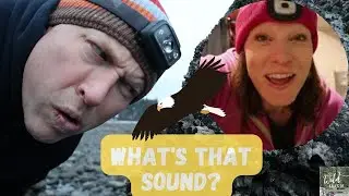Safety Tips for Walking at Night + An Amazing Eagle Sighting! | Seattle Area Adventures with Kids