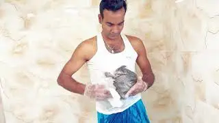 Cat bathing is essential to maintain cleanliness. #love #cat #bangladesh #usa 