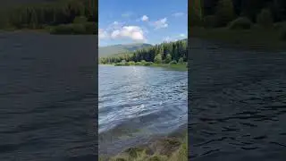 Lacul Vidra #laculvidra #lake #transalpina #nature