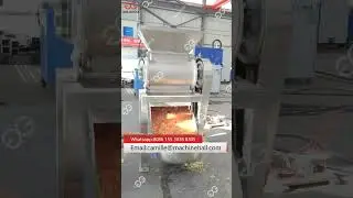 Automatic Tomato Crushing Machine