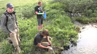 Mac Wank and the Alaska Wilderness Experience
