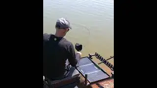 Horizon X Commercial Feeder Rods